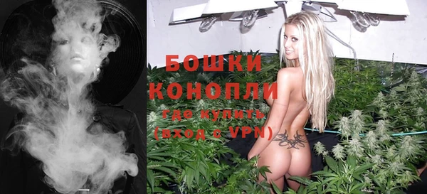 мет Новозыбков