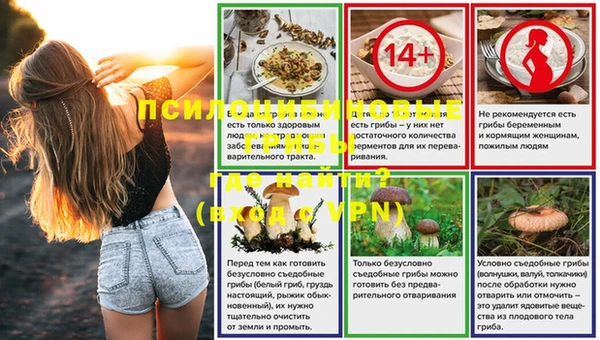 прущие грибы Няндома