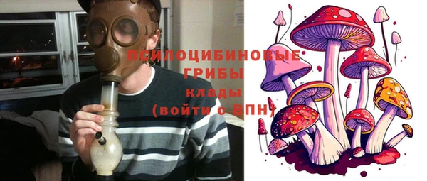 мет Новозыбков
