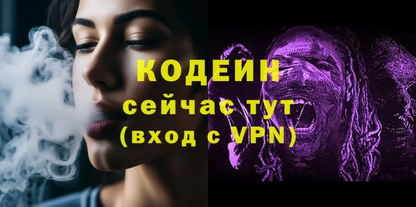 мет Новозыбков