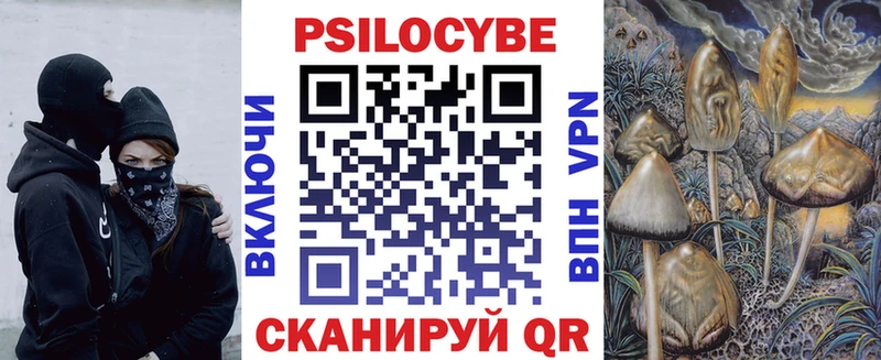 Галлюциногенные грибы мицелий  Новоульяновск 
